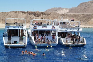 Sharm El Sheikh Boat Trip and Snorkeling with Lunch and Transfer - Image 3