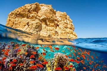 Sharm El Sheikh Ras Mohamed National Park Tour By Bus - Image 2