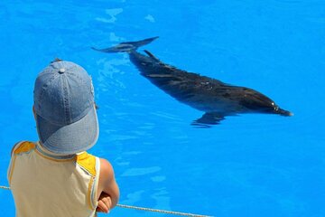 Dolphin House: Snorkel Adventure Tour from Hurghada - Image 4