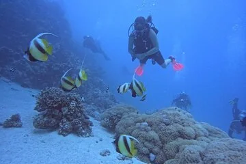 Discover Scuba Diving: Red Sea Underwater Adventure for Beginners in Hurghada