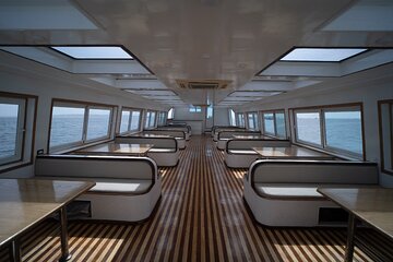 Panorama Semi-Submarine Half-Day Tour with Snorkeling in Hurghada - Image 4