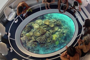 Hurghada Glass-Bottom Speed Boat with Fish-Eye View - Image 3