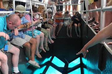 Hurghada Glass-Bottom Speed Boat with Fish-Eye View - Image 4