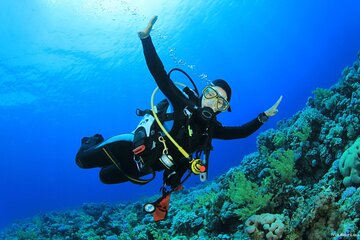 Snorkeling Sea Excursion to Paradise Island in Hurghada - Image 2