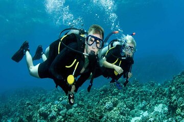 Snorkeling Sea Excursion to Paradise Island in Hurghada - Image 4