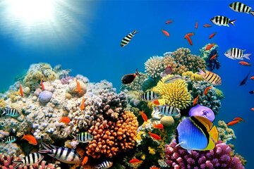 Full-Day Hurghada Boat Trip: Snorkeling and Lunch Included - Image 3