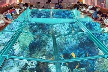 Glass Bottom Boat Tour: Explore Sharm El Sheikh's Underwater Paradise