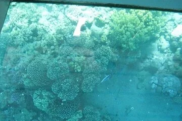 Glass Bottom Boat in Sharm El Sheik - Image 2