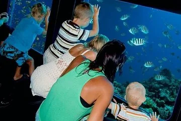 Glass Bottom Boat in Sharm El Sheik - Image 3
