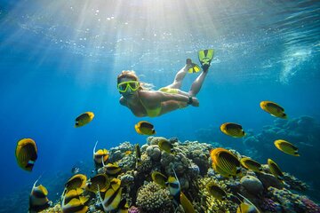 Giftun Island Snorkeling and Relaxation - Image 3