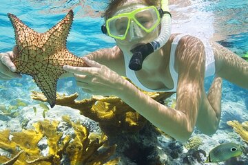 Giftun Island Snorkeling and Relaxation - Image 4