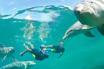 7 Hours Private Red Sea Snorkeling Adventure - Image 1