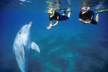 7 Hours Private Red Sea Snorkeling Adventure - Image 2