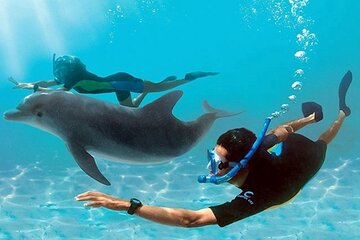 7 Hours Private Red Sea Snorkeling Adventure - Image 3