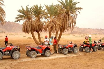 Hurghad Quad Biking and Bedouin Village Experience - Image 3