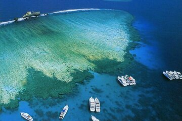 Gifton Island Snorkeling Cruise from Hurghada - Image 4