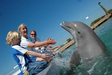 Ras Mohamed and White Island Diving Excursion - Image 1