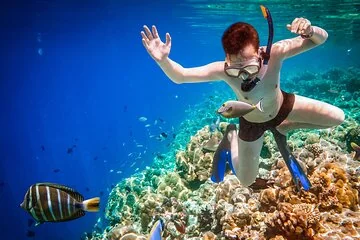 Ras Mohamed and White Island Diving Excursion - Image 3