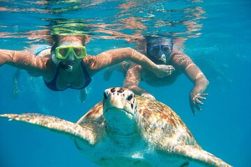 Ras Mohamed and White Island Diving Excursion - Image 4