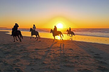2 Hour Horse Riding in Hurghada - Image 1