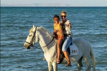 2 Hour Horse Riding in Hurghada - Image 2