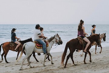 2 Hour Horse Riding in Hurghada - Image 3