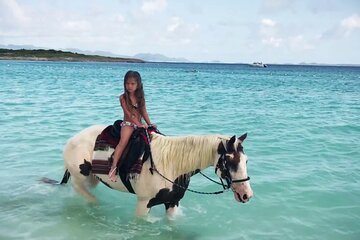 2 Hour Horse Riding in Hurghada - Image 4