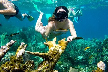 Marsa Allam Snorkeling Activity with Lunch - Image 1