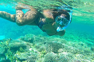 Marsa Allam Snorkeling Activity with Lunch - Image 4
