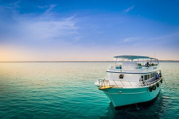 Marsa Alam Deep Sea Fishing Adventure: Angler's Paradise - Image 2