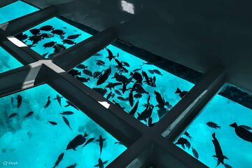 Sharm El Sheikh Glass-Bottom Boat Cruise - Image 1