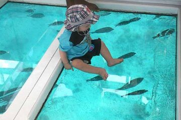Sharm El Sheikh Glass-Bottom Boat Cruise - Image 2