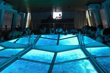 Sharm El Sheikh Glass-Bottom Boat Cruise - Image 3