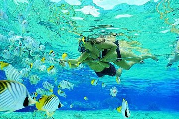 Hurghada: Full-Day Scuba Diving Adventure Tour with Lunch - Image 2