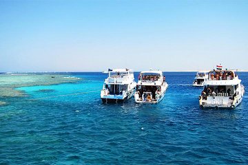 Hurghada: Full-Day Scuba Diving Adventure Tour with Lunch - Image 4