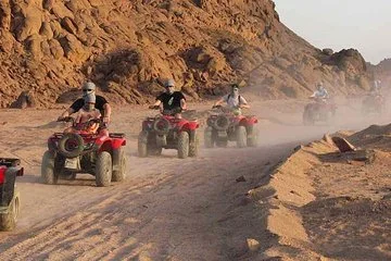 Sharm El-Sheikh : Quad Bike & Desert Safari Adventure with Transfers - Image 2