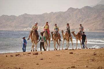 Dahab: Blue Hole Snorkel & Desert Camel Experience
