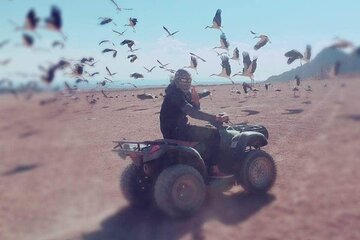Safari Quad Bike in Sharm El-Sheikh - Image 2