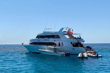 Swimming with Dolphin VIP Snorkeling Sea Trip From Hurghada - Image 1