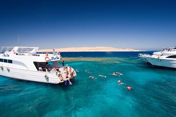 Swimming with Dolphin VIP Snorkeling Sea Trip From Hurghada - Image 3