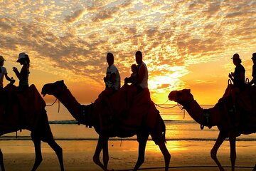Safari Full Day Quad Jeep And Camel Ride With Dinner In Hurghada - Image 3