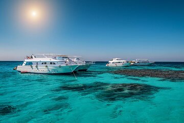 Sea Trip Snorkeling at Sataya Dolphin House ​​​​in Marsa Alam - Image 4