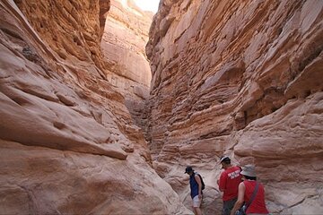 Mount Sinai Climb and St. Catherine Monastery in Sharm El Sheikh - Image 4