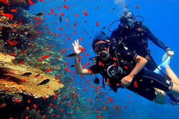 Private Boat Snorkeling Trip From Hurghada And Lunch Up To 10 Pax - Image 3
