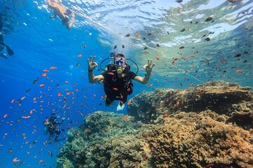 Sharm El Sheikh : White Island and Ras Mohamed Trip - Image 2