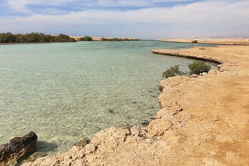 Sharm El Sheikh : White Island and Ras Mohamed Trip - Image 4