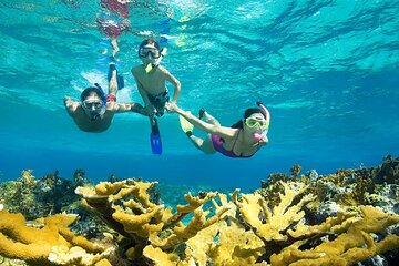 Full Day Boat Tour to Hamata Island in Marsa Alam - Image 1