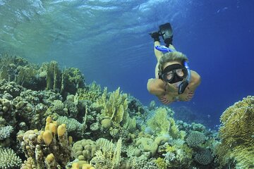 Full Day Boat Tour to Hamata Island in Marsa Alam - Image 3