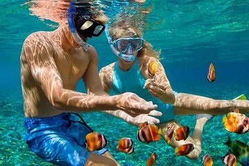 Orange Island Snorkeling Adventure with Lunch in Hurghada - Image 3