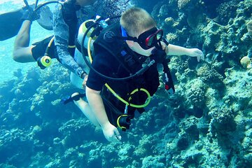 Intro Scuba Diving for Beginners and Snorkeling in Hurghada - Image 1